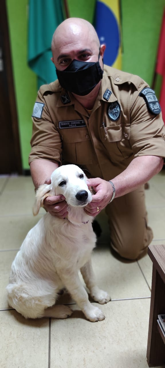 PM de Londrina dá boas vindas a novo cão que auxiliará os serviços do