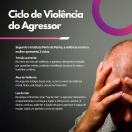 ciclo de violência do agressor