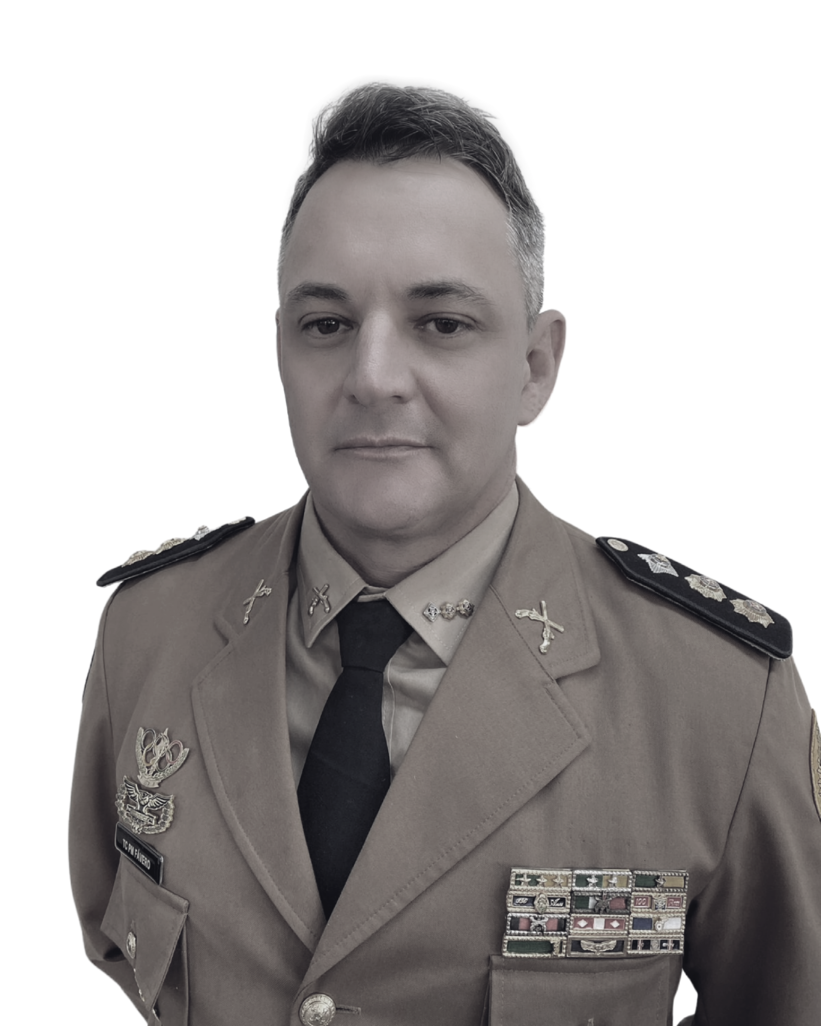 tcfavero