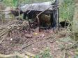 Acampamento de caça ilegal é destruído pela Polícia Ambiental em São Miguel do Iguaçu (PR)