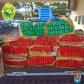 Quase 230 quilos de maconha são apreendidos pela PM em Cianorte (PR)