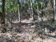 Após denúncia anônima, policiais ambientais localizam 12 hectares de área ambiental desmatada em Boa Ventura de São Roque, no interior
