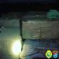 Quase meia tonelada de maconha é apreendida pela Polícia Rodoviária Estadual em Iguaraçu (PR)