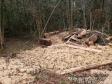  Polícia Ambiental flagra corte de mata nativa e aplica R$ 37,5 mil em multas 