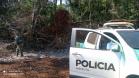Vídeo de desmatamento chega à Polícia Ambiental e multa donos de máquina e propriedade em R$ 23,4 mil cada um em Roncador (PR)