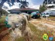 Operação Lobo Bravo da Polícia Ambiental prende quatro pessoas e apreende materiais de pesca e de caça nos Campos Gerais