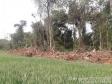 Primeiro dia da Operação Nascente Viva flagra diversos pontos de destruição de mata nativa no Sudoeste do estado