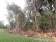 Primeiro dia da Operação Nascente Viva flagra diversos pontos de destruição de mata nativa no Sudoeste do estado