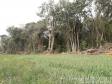 Primeiro dia da Operação Nascente Viva flagra diversos pontos de destruição de mata nativa no Sudoeste do estado