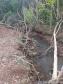 Primeiro dia da Operação Nascente Viva flagra diversos pontos de destruição de mata nativa no Sudoeste do estado