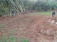 Primeiro dia da Operação Nascente Viva flagra diversos pontos de destruição de mata nativa no Sudoeste do estado