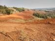 Primeiro dia da Operação Nascente Viva flagra diversos pontos de destruição de mata nativa no Sudoeste do estado