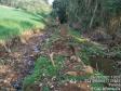 Primeiro dia da Operação Nascente Viva flagra diversos pontos de destruição de mata nativa no Sudoeste do estado