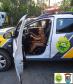 Polícia Militar de Morretes (PR) visita pequeno fã da corporação e entrega farda infantil de presente