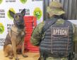Durante Operação Hórus, Polícia da Fronteira apreende 26,8 quilos de maconha em ônibus de viagem, na cidade de Cascavel (PR)