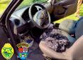 PM prende três pessoas e apreende mais de 200 gramas de maconha em Morretes (PR)
