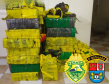 Em Tamboara, PM apreende 1,5 tonelada de maconha durante abordagem 