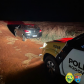 BPRv recupera veículo furtado durante patrulhamento no Oeste do estado