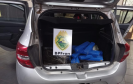 BPFRON apreende mais de 200 quilos de maconha, arma de fogo e carro roubado no Oeste do estado