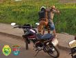 Na região do Norte Pioneiro, policiais militares e civis encaminham suspeito de furto e apreendem duas motocicletas, em ações distintas