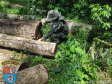 Homem é multado em mais de R$ 100 mil após desmatar mais de sete hectares em Palmeira (PR)