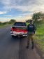 BPFRON apreende carga de maconha e encaminha motorista em Guaíra 
