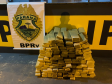 BPRv apreende mais de 250 quilos de maconha durante operação em Iporã (PR)