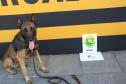 Polícia Rodoviária utiliza cães de faro contra o tráfico de drogas no Litoral