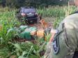 No Paraná, 219 toneladas de drogas foram apreendidas nos primeiros nove meses do ano