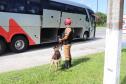 Polícia Militar Rodoviária flagra mais de 4 mil motoristas em excesso de velocidade
