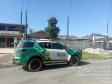 Polícia Ambiental resgata 42 aves silvestres e aplica multa de R$ 34,5 mil em Matinhos (PR)