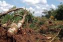 Batalhão Ambiental aplicou R$ 60,2 milhões em multas e atendeu 14 mil ocorrências em 2021