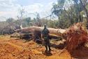 Batalhão Ambiental aplicou R$ 60,2 milhões em multas e atendeu 14 mil ocorrências em 2021