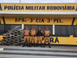 Quase uma tonelada de maconha é apreendida pelo BPRv em Iporã (PR)
