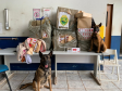 BPFron apreende mais de 700 quilos de maconha e cigarros contrabandeados durante a Operação Hórus