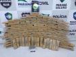 Mais de uma tonelada de drogas é retirada das ruas pelo BOPE em abril