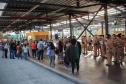 Curitiba, 11 de maio de 2018. 11-05-2018 Entrega de rosas em homenagem ao Dia das Mães