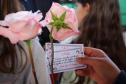 Curitiba, 11 de maio de 2018. 11-05-2018 Entrega de rosas em homenagem ao Dia das Mães