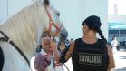 Pelotão de cavalaria visita lar de Idosos em Ponta Grossa (PR)
