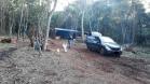 PM aborda chácara e apreende mais de 30 quilos de maconha em Cascavel (PR), no Oeste do estado