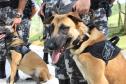 Colombo, 13 de dezembro de 2018,  Inauguração Memorial para Cães