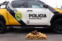 Matinhos, 06 de janeiro de 2019. Operação Verão Paraná 2018/2019 - Flagrante de Tráfico em Matinhos