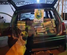 Ação integrada do BPFron com a Polícia Federal resultam na apreensão de 185 quilos de maconha e dois quilos de murruga na região fronteiriça do Paraná
