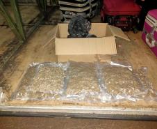 Ação integrada do BPFron com a Polícia Federal resultam na apreensão de 185 quilos de maconha e dois quilos de murruga na região fronteiriça do Paraná