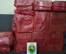 BPFron apreende 17 caixas de cigarros contrabandeados em meio a plantação no Oeste do estado