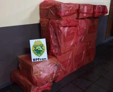 BPFron apreende 17 caixas de cigarros contrabandeados em meio a plantação no Oeste do estado