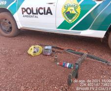 Denúncia auxilia Batalhão Ambiental a apreender arma de fogo, munições e carne de capivara em São Pedro do Ivaí (PR); um foi preso