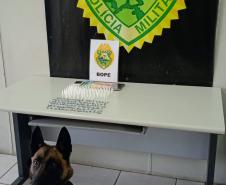 Trio é encaminhado e porções de drogas apreendidas graças a aplicação de cão de faro da PM em Curitiba