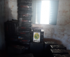 Mais de 4,7 mil pacotes de cigarros são apreendidos pelo BPFRON em Itaipulândia e Nova Santa Rosa