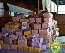 Apreensões de drogas no Paraná crescem no primeiro semestre